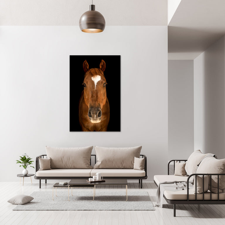 Horse in Town III by Adam Mowery | stretched canvas wall art