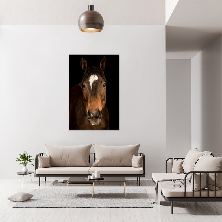 Horse in Town V by Adam Mowery | stretched canvas wall art