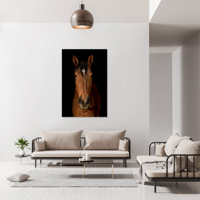 Horse in Town VII by Adam Mowery | stretched canvas wall art