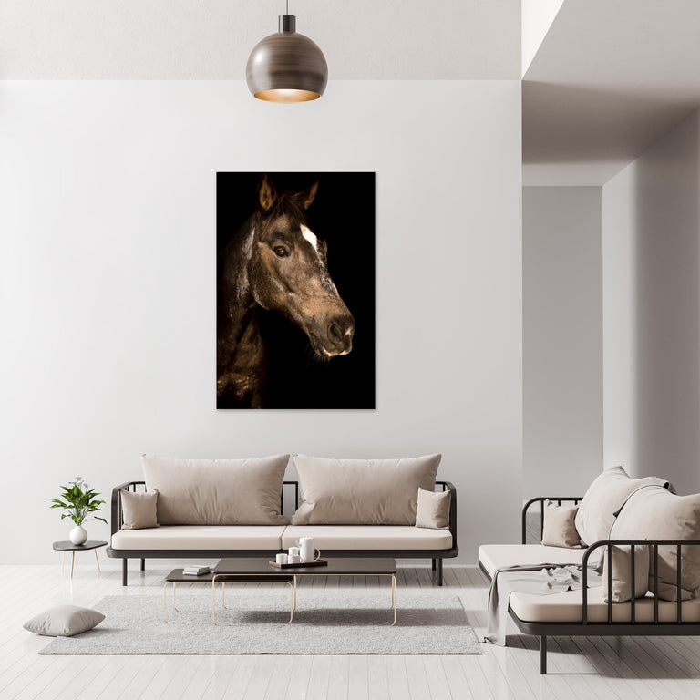 Portrait of Horse IV by Adam Mowery | stretched canvas wall art