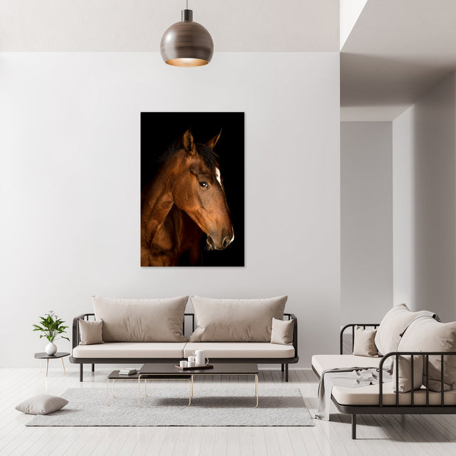 Portrait of Horse V by Adam Mowery | stretched canvas wall art