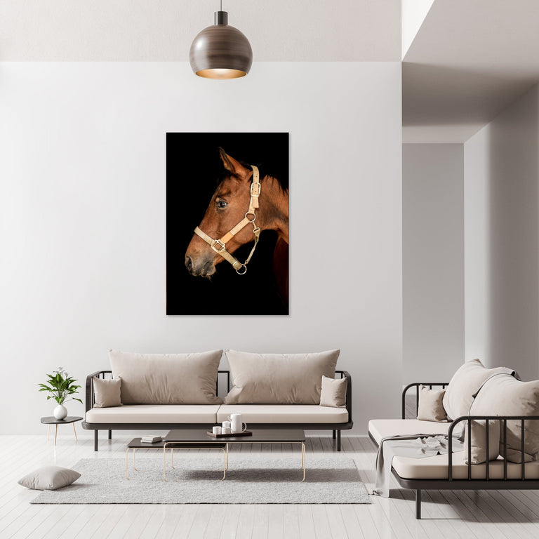 Portrait of Horse VI by Adam Mowery | stretched canvas wall art