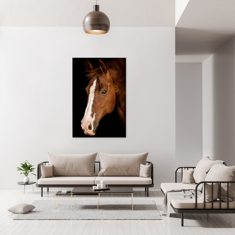 Portrait of Horse VII by Adam Mowery | stretched canvas wall art
