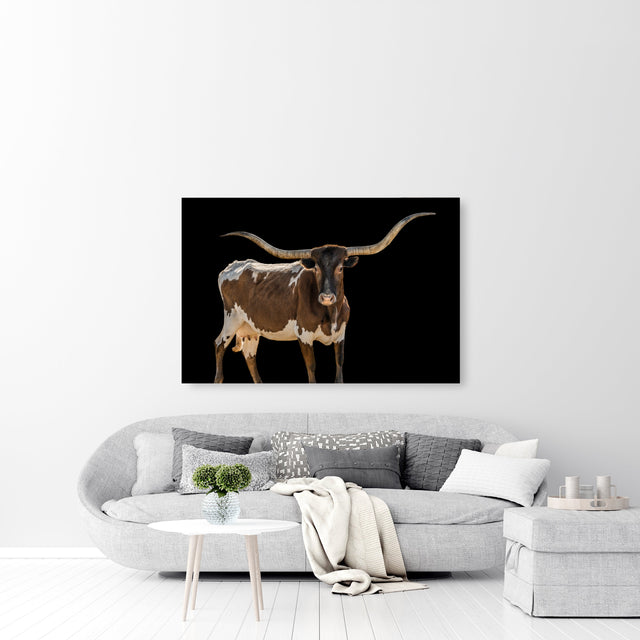 Flossie by Adam Mowery | stretched canvas wall art