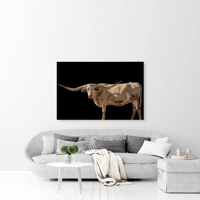 Betsie by Adam Mowery | stretched canvas wall art