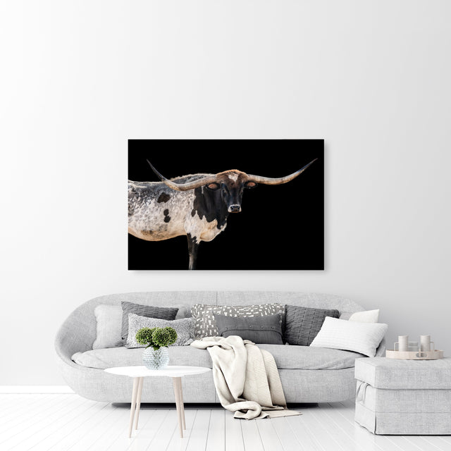 Oreo by Adam Mowery | stretched canvas wall art