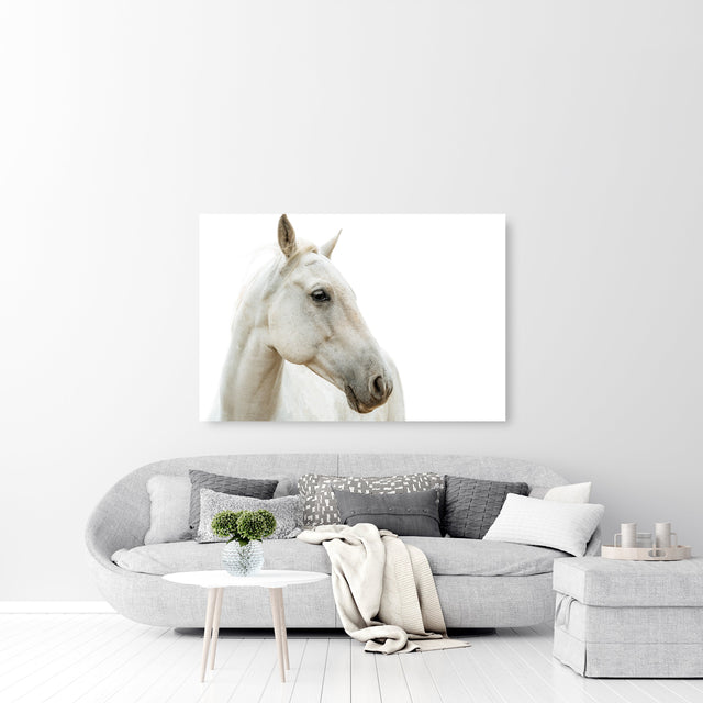Peaceful Reign by Adam Mowery | stretched canvas wall art