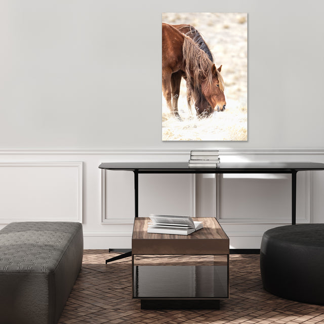 Mane Story by Curt & Stacy Howell | stretched canvas wall art