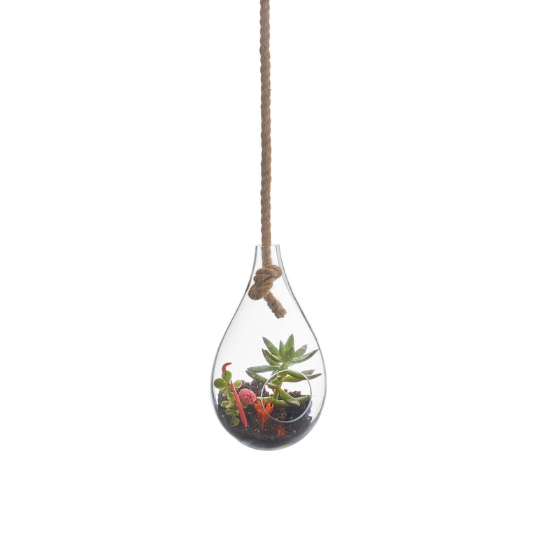 BOBOLI HANGING TERRARIUM | FLORA