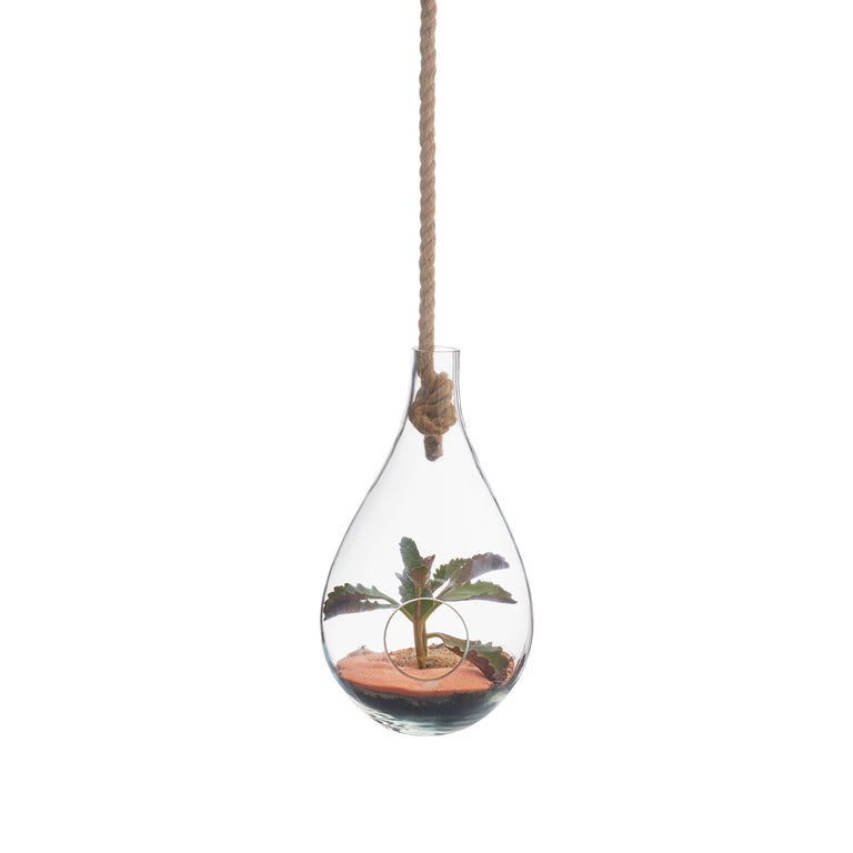 BOBOLI HANGING TERRARIUM | FLORA