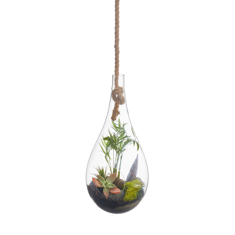 BOBOLI HANGING TERRARIUM | FLORA