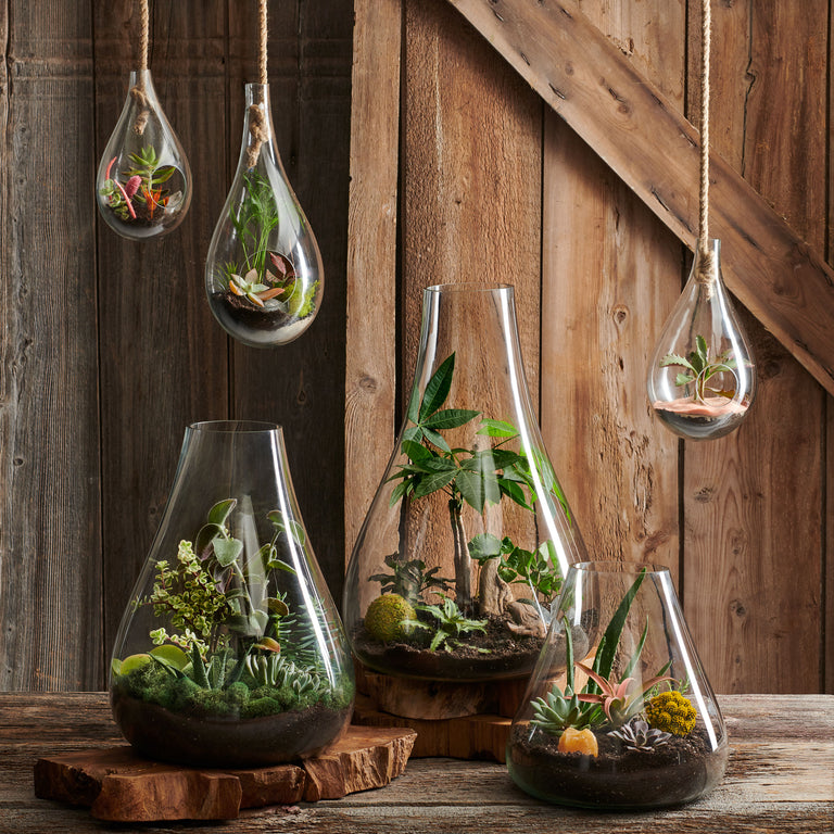 BOBOLI HANGING TERRARIUM | FLORA