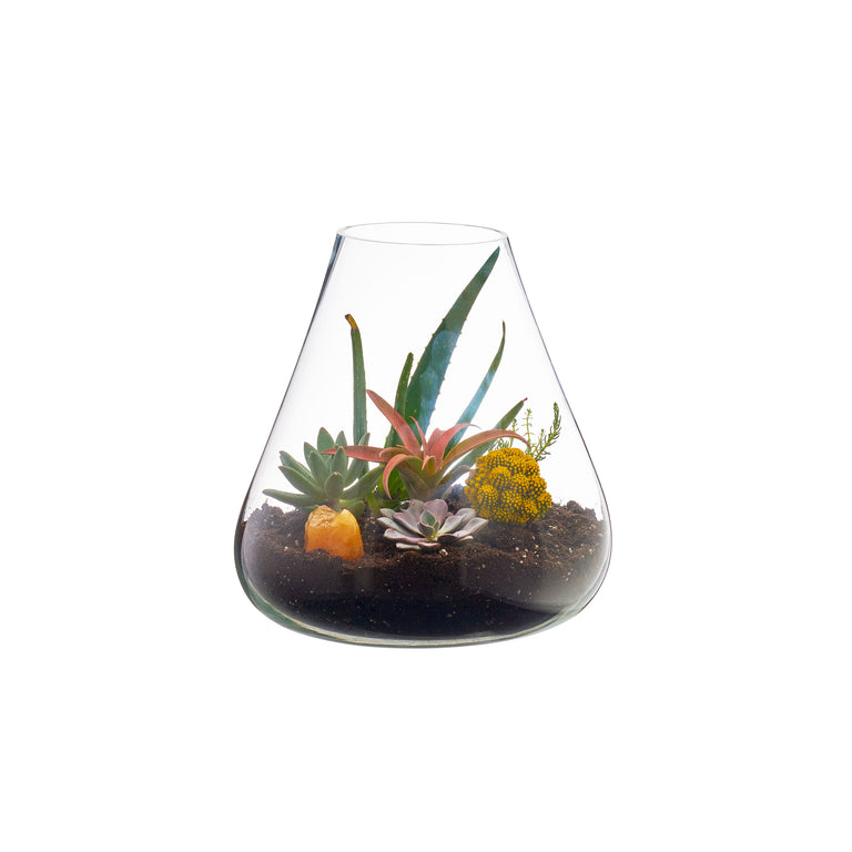 BOBOLI TERRARIUM | FLORA