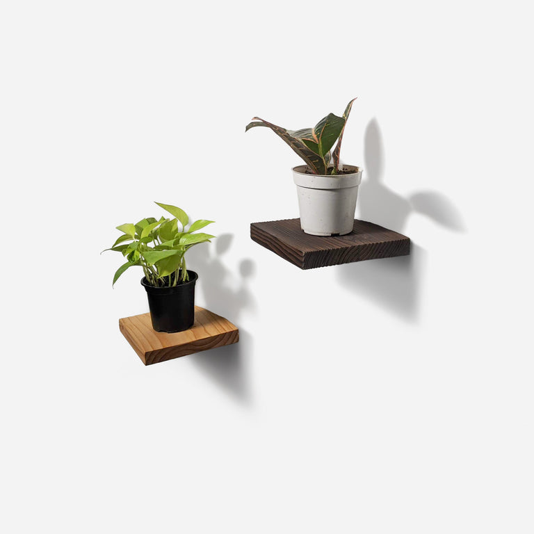 CHOPPED PLANT SHELF | BY FORMR