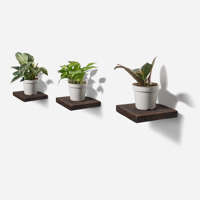 CHOPPED PLANT SHELF | BY FORMR