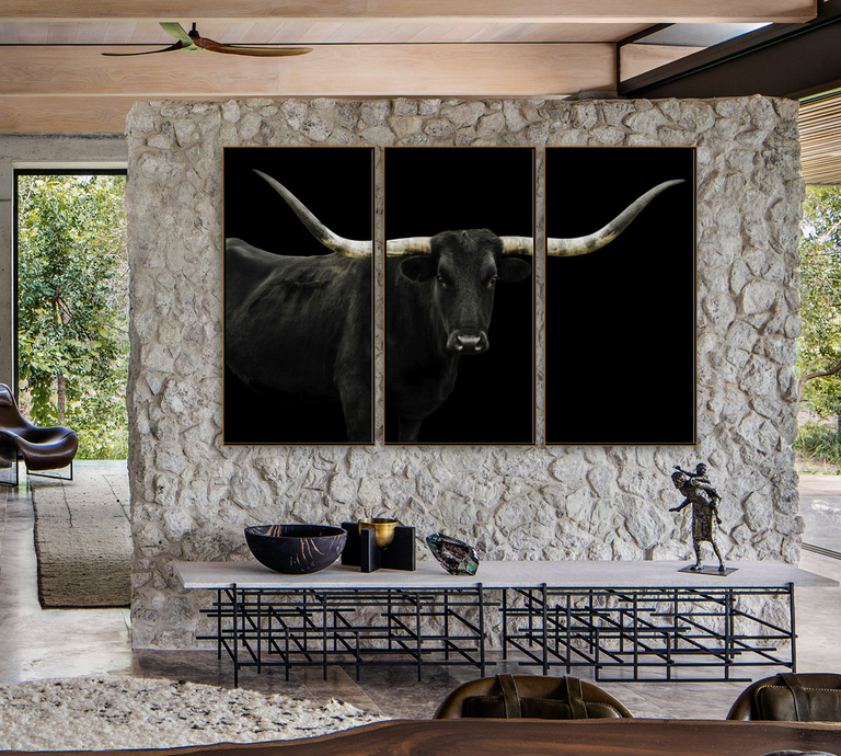 Longhorn 4 Triptych by Adam Mowery | stretched canvas wall art