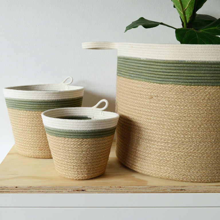 OLIVE AND JUTE COTTON PLANTERS (SOUTH AFRICA) | FLORA