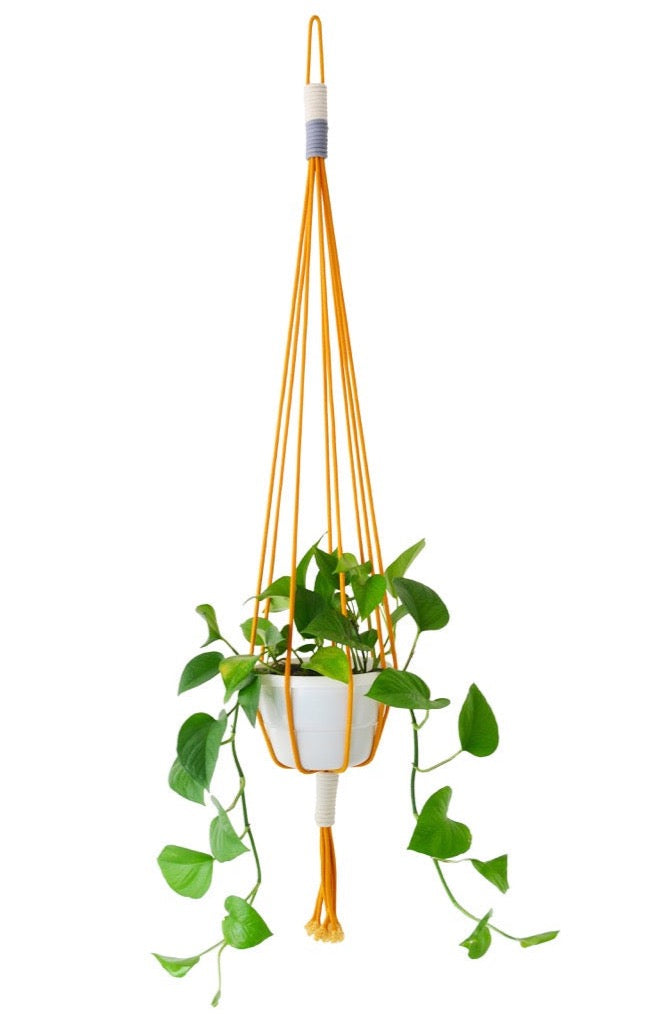 COTTON MACRAME PLANT HOLDERS