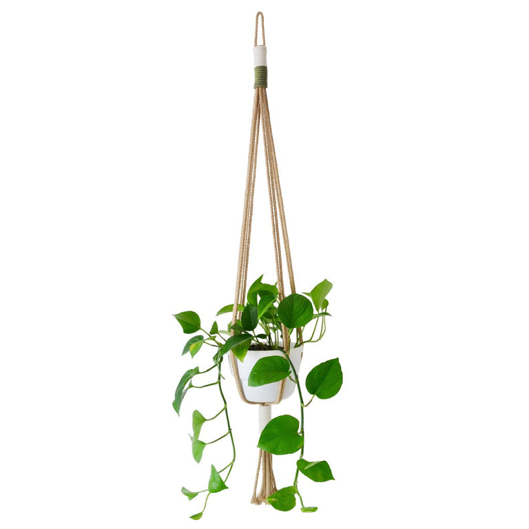 COTTON MACRAME PLANT HOLDERS