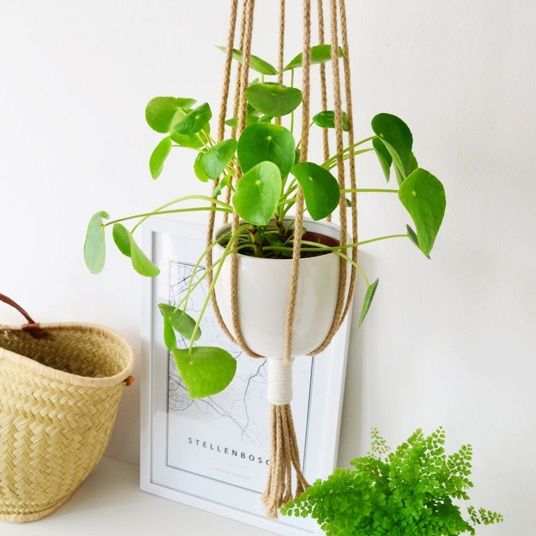 COTTON MACRAME PLANT HOLDERS