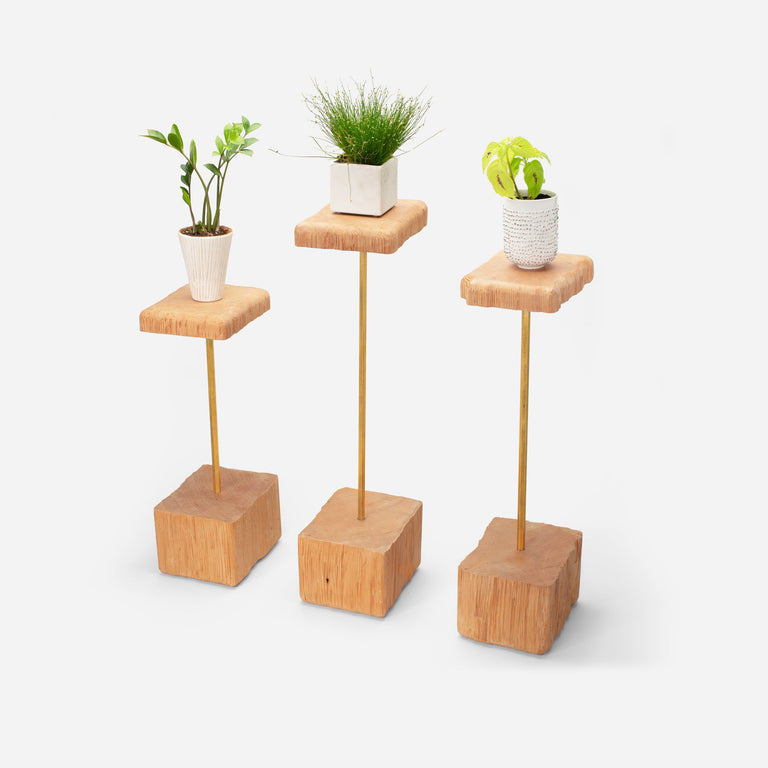 STEM PLANT HOLDER | BY FORMR