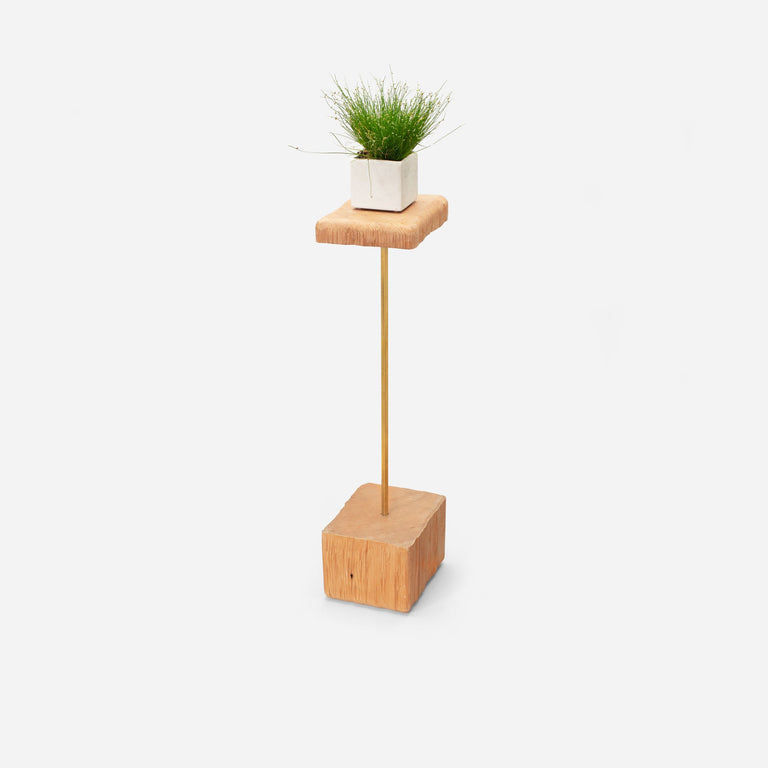 STEM PLANT HOLDER | BY FORMR