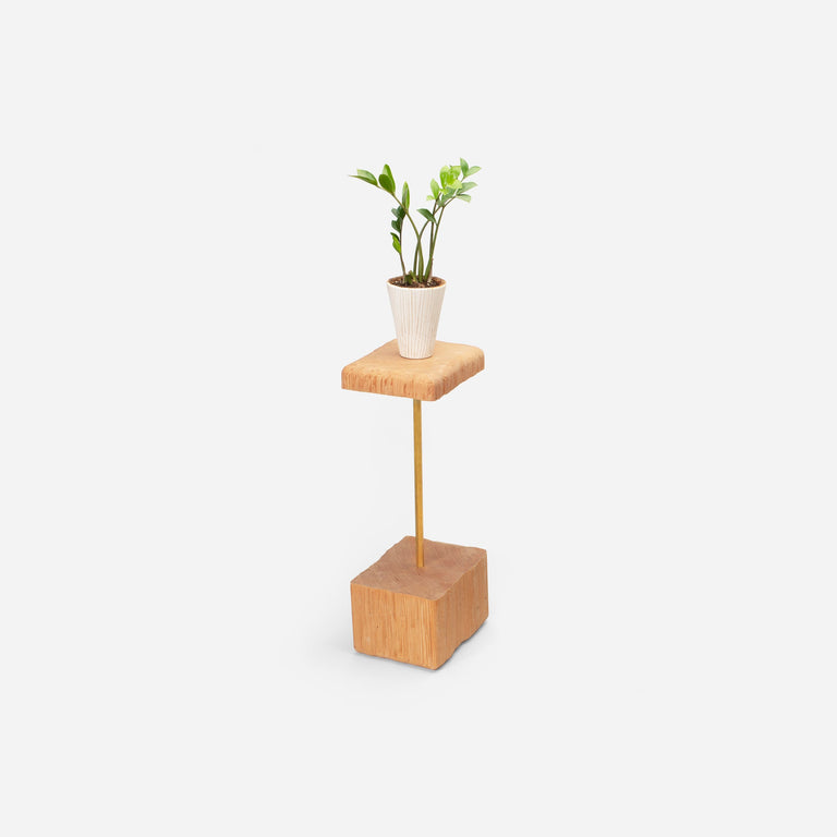 STEM PLANT HOLDER | BY FORMR