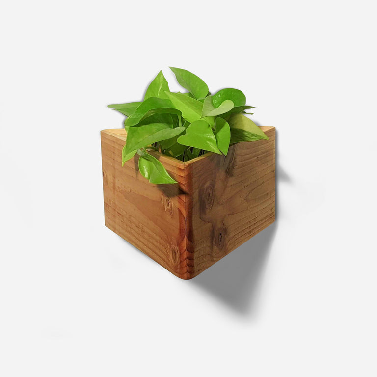 TRIANGLE SELF-WATERING, WALL-MOUNTED PLANTER | BY FORMR