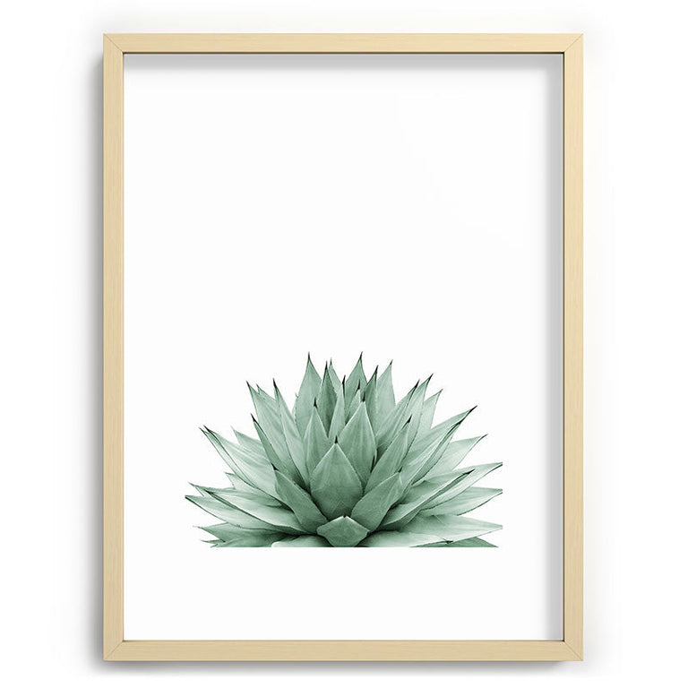 Agave Green Summer Vibes Recessed Framing Rectangle