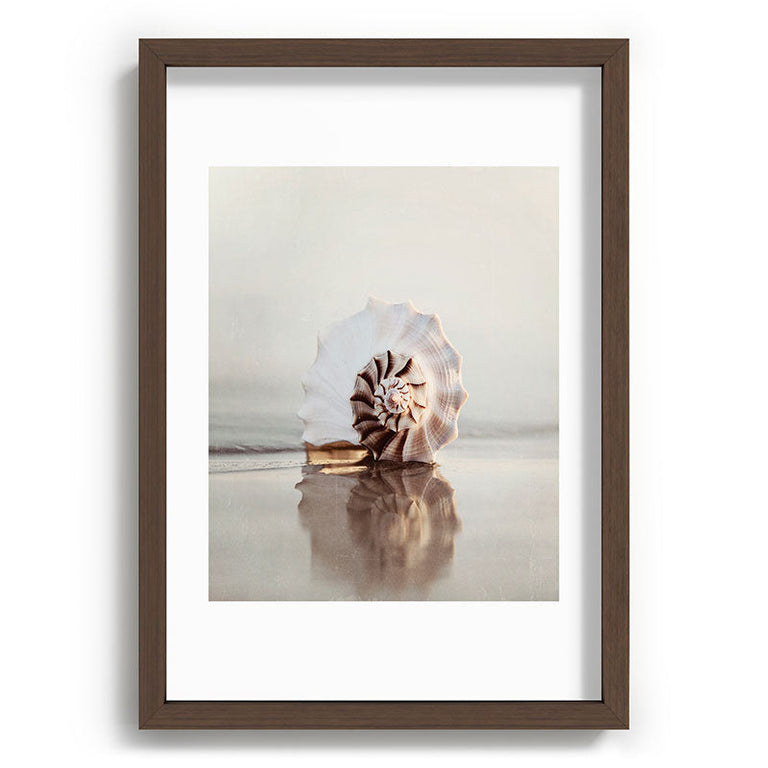 Seashell Recessed Framing Rectangle