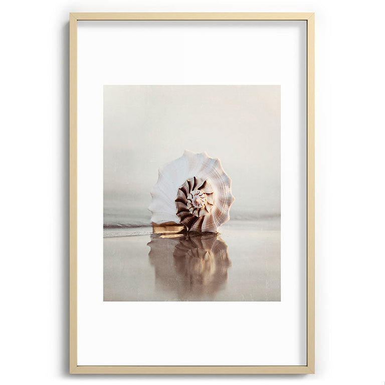 Seashell Recessed Framing Rectangle