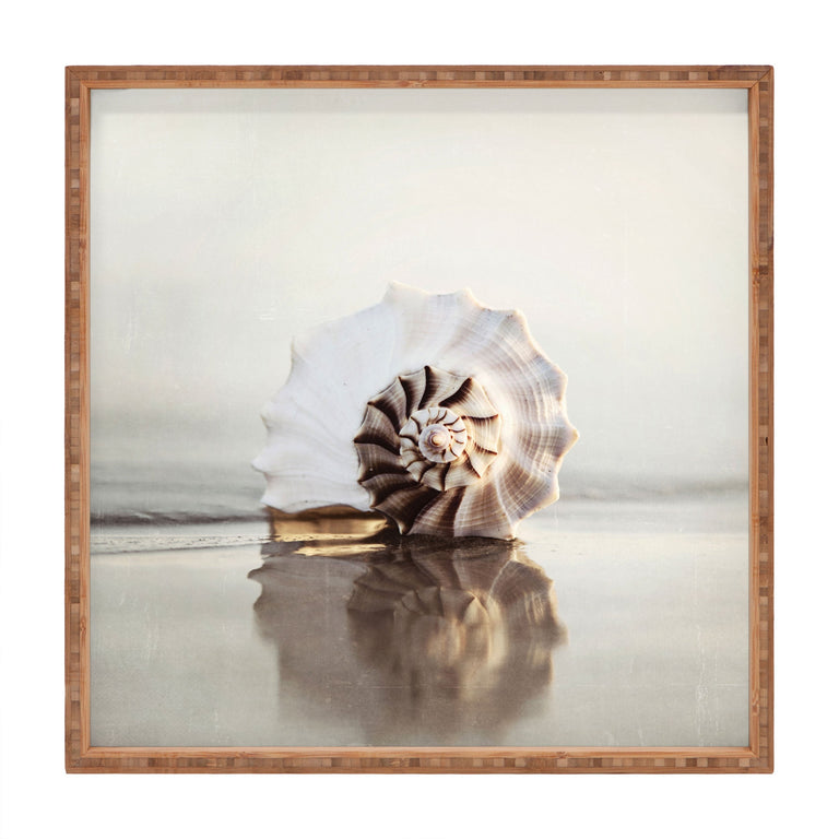 SEASHELL SQUARE TRAY