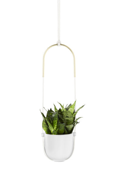 BOLO PLANTER | FLORA | STAG & MANOR