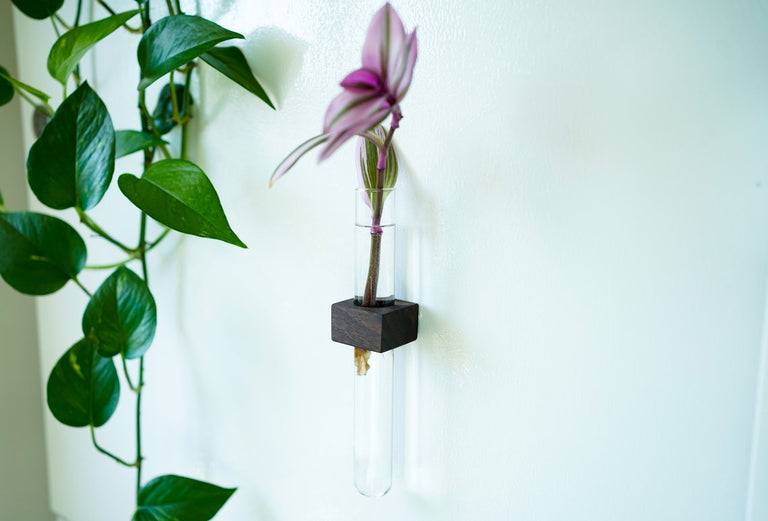 Magnetic Flower & Propagation Vase by Iron Roots Designs | made in Berkeley, CA