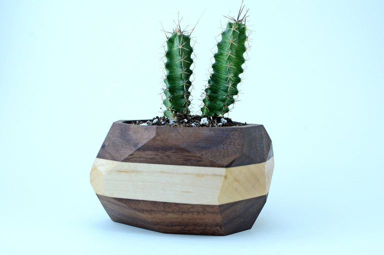 Geometric Cactus & Succulent Planter by Iron Roots Designs | made in Berkeley, CA