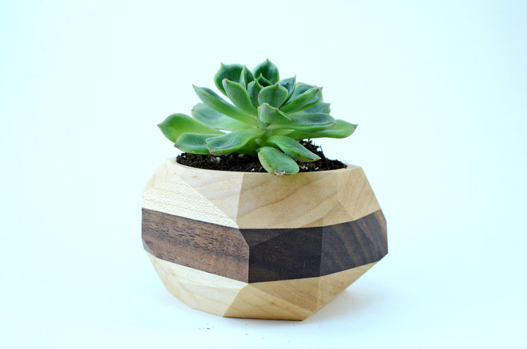 Geometric Cactus & Succulent Planter by Iron Roots Designs | made in Berkeley, CA