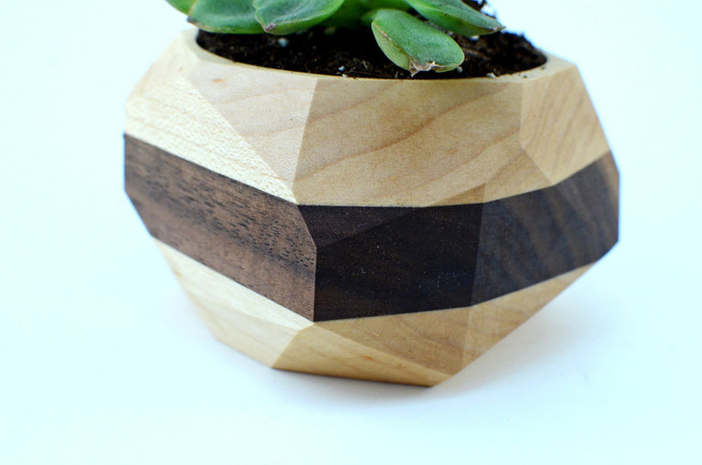 Geometric Cactus & Succulent Planter by Iron Roots Designs | made in Berkeley, CA