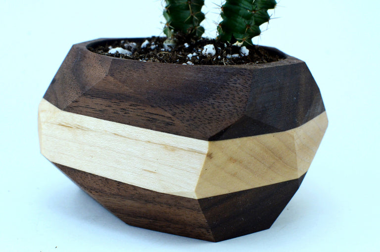 Geometric Cactus & Succulent Planter by Iron Roots Designs | made in Berkeley, CA