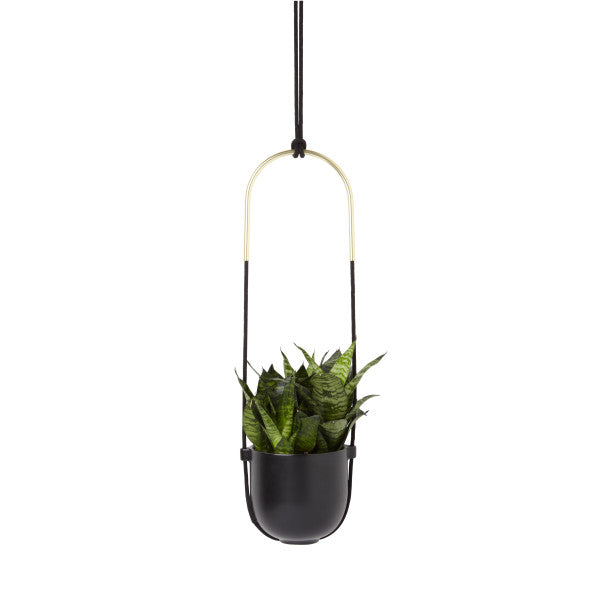 BOLO PLANTER | FLORA | STAG & MANOR